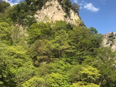 -王顺山国家森林公园