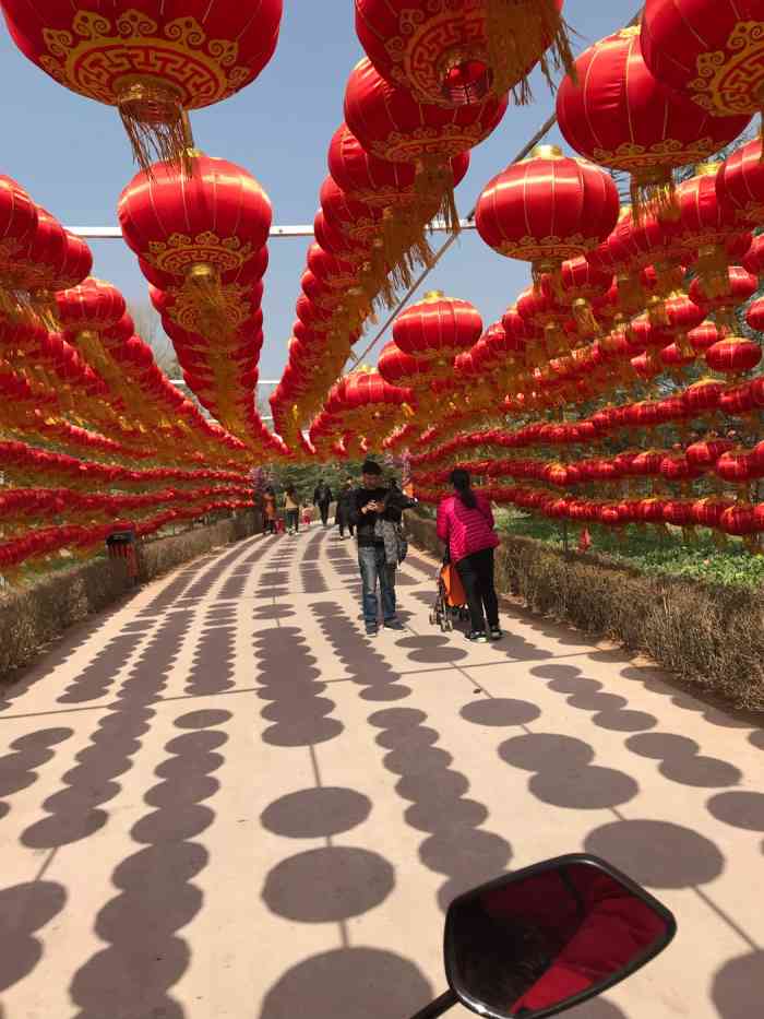 黄河富景生态世界-"风景不错,还挺大的,走到底可以看到黄河.