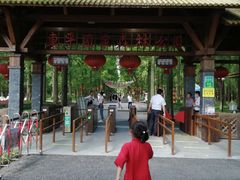 -东平国家森林公园