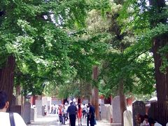 景点-少林寺景区