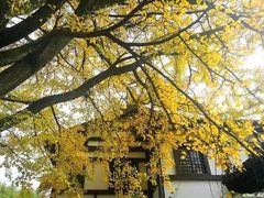 -径山寺