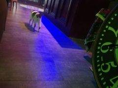 -蜉蝣酒吧(仓山万达店)