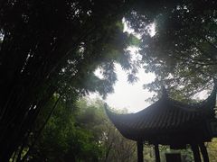 -望江楼公园