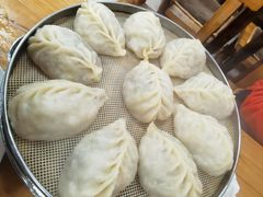 -小叶大馅饺子城