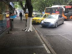 -山东水饺(南坪新街店)
