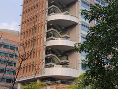 -香港大学