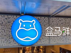 门面-盒马鲜生(双清路店)