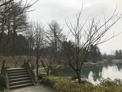 -四明山国家森林公园