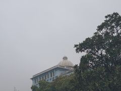 -武汉大学-樱园