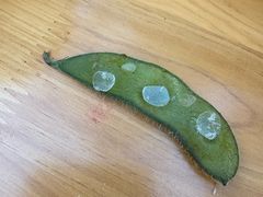 -佬缸炮江湖川菜(玉林店)