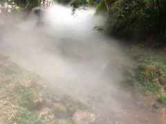 -芦沟竹海