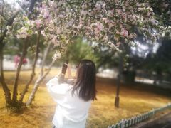 -山东师范大学(千佛山校区)