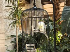 -太湖饭店玉兰厅(自助餐厅)