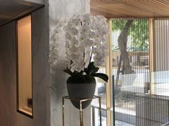 -尼依格罗香港美利酒店