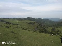 -大姆山草场