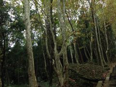 -窦圌山风景区