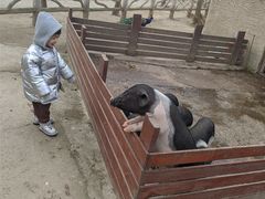 -昆山城市生态森林公园