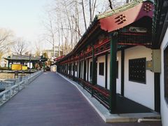 -新川办餐厅