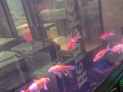 -六泰居·尔滨地标·东北菜(黄河路店)