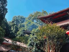 -都江堰普照寺