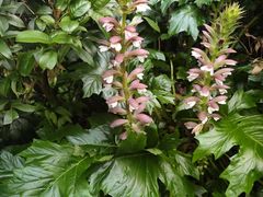 -御轩足道·SPA·养生·保健(瑞金北路店)