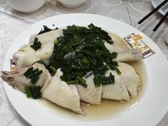 -凤城礼记鱼翅海鲜酒家(新马路总店)