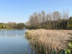 -昆山城市生态森林公园