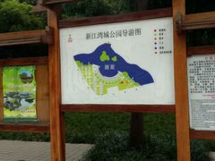 -新江湾城公园
