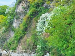 -少华山国家森林公园