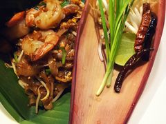 -卷心菜和避孕套餐厅(Pattaya)