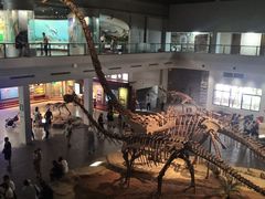 -自贡恐龙博物馆