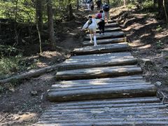 -罗田薄刀峰风景区