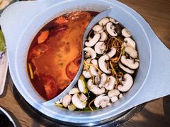 -青瓷火锅料理(西单大悦城店)