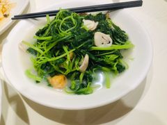 上汤苋菜苗-东海海鲜酒家(中信广场店)