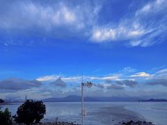 -深圳湾公园(南山区)