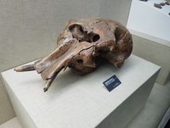 -呼伦贝尔民族博物馆