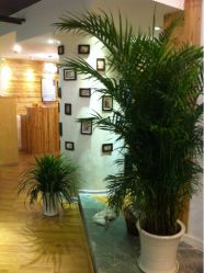 iphone_upload_pic-MAGSTUDIO美格造型