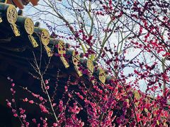 -慧因高丽寺