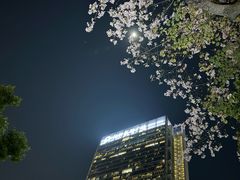 -广州香格里拉酒店