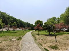 -洪泽湖古堰景区