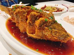 糖醋鲤鱼-金春禧·鲁菜海鲜(延吉路万达店)