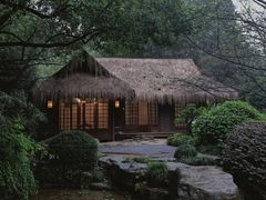 -中国茶叶博物馆(双峰馆区)