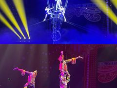 -珠海横琴长隆《卡卡虎奇遇记》