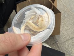 -酷以爬仙阁实体爬宠店·守宫·蜥蜴·专业繁育