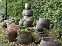 -老木棉·匠园