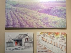 -吉林市博物馆