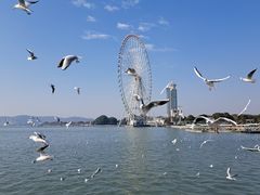 -君来湖滨饭店·渔餐厅