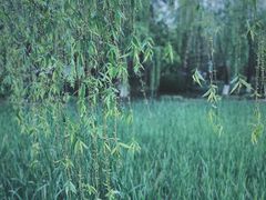 -东湖听涛景区