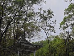 -广州市白云山风景名胜区