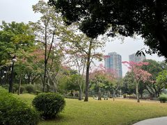 -晓港公园